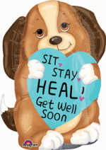 SIT STAY HEAL PUPPY 24 Inch Get well Soon Mylar Balloon Inflated With Helium