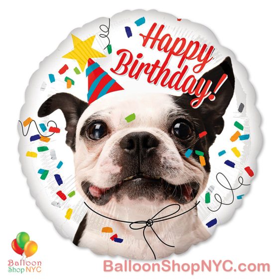 Happy Birthday Funny Dog Mylar Balloon 18 Inch Inflated high-quality cheap balloons nyc delivery