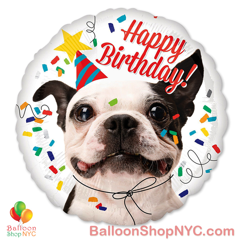 Happy Birthday Funny Dog Mylar Balloon 18 Inch Inflated - Balloon Shop NYC